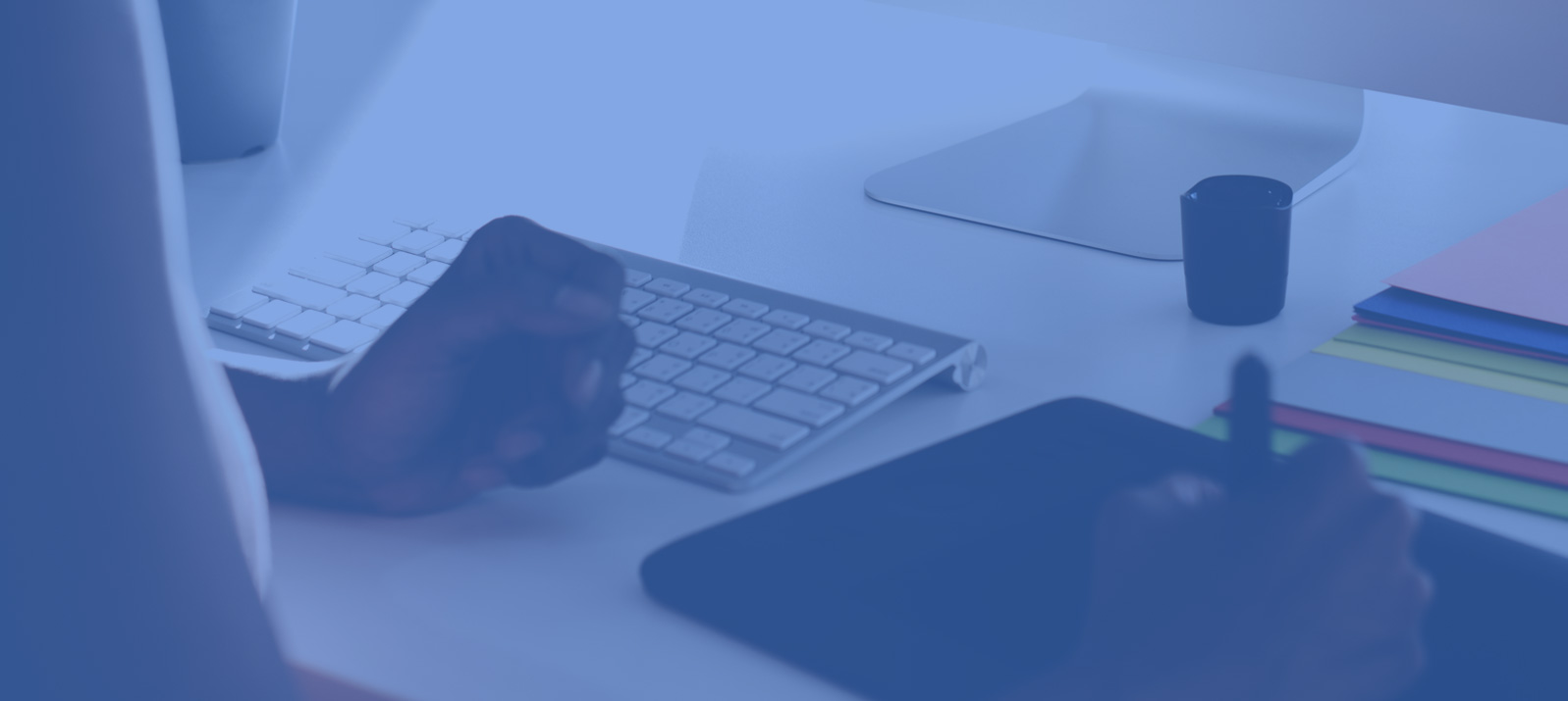 Graphic design and branding services showcase
